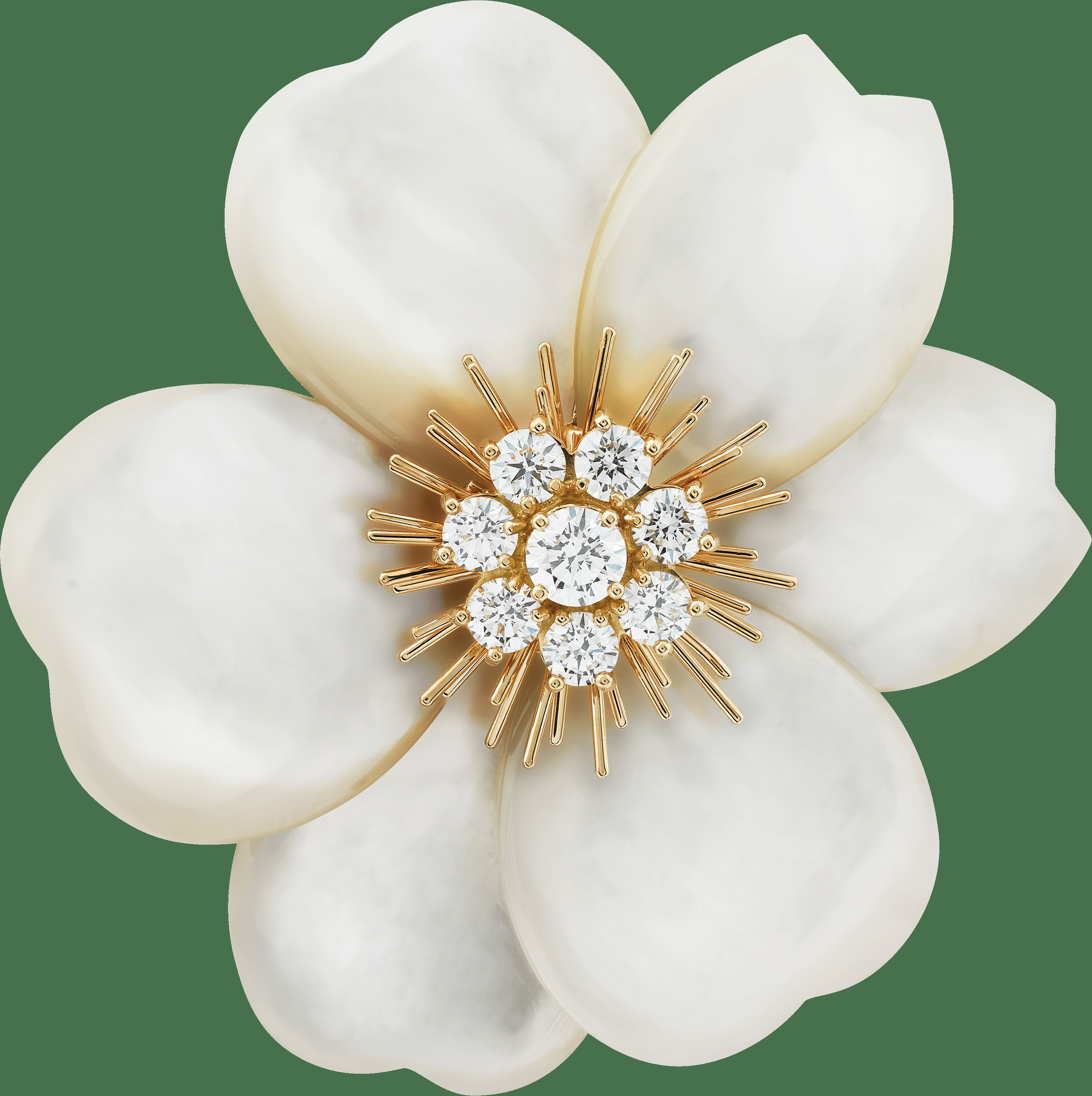 Брошь Rose de Noël, большая модель, желтое золото, белый перламутр, бриллианты