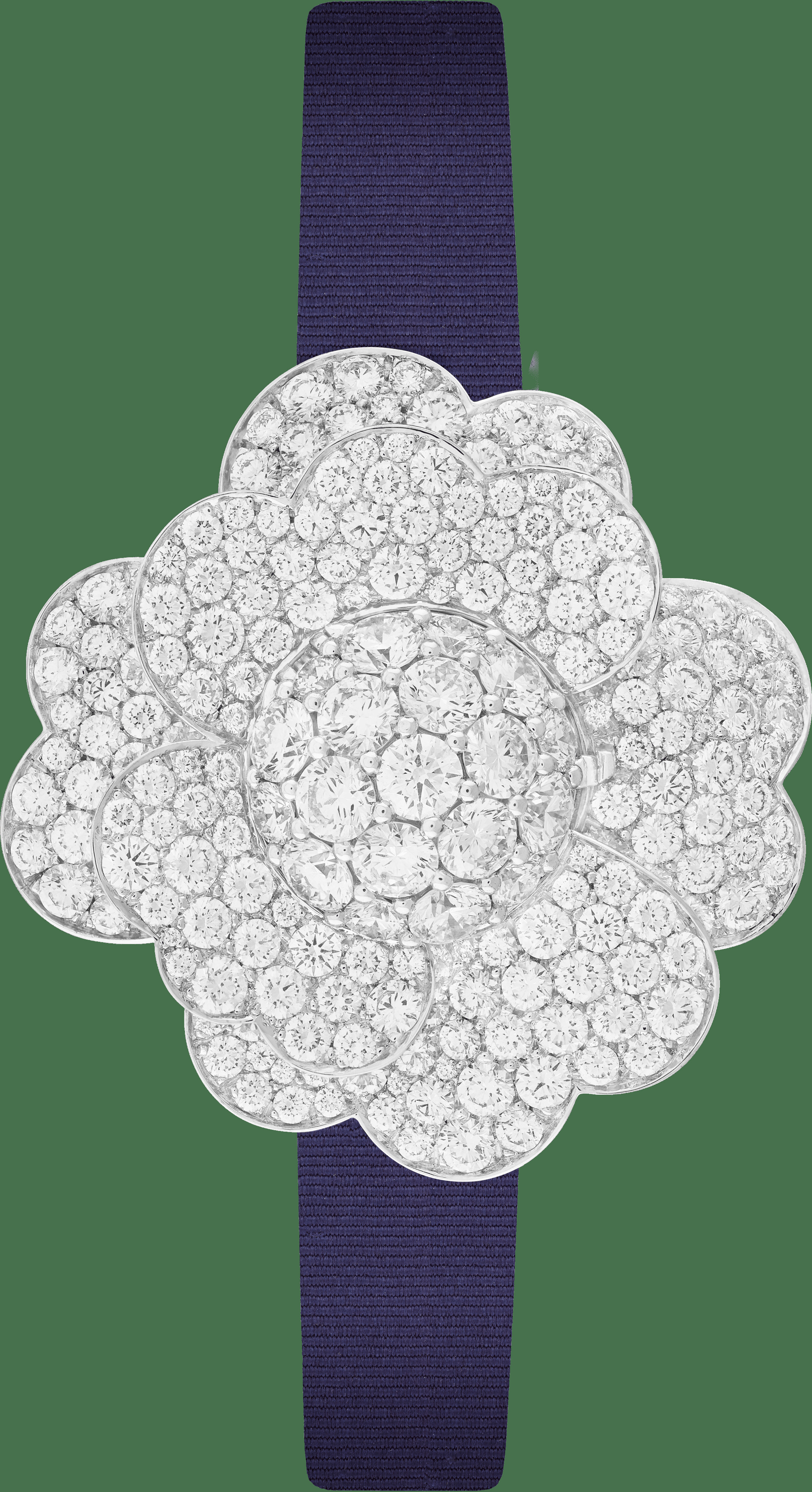 Часы Cosmos Secret