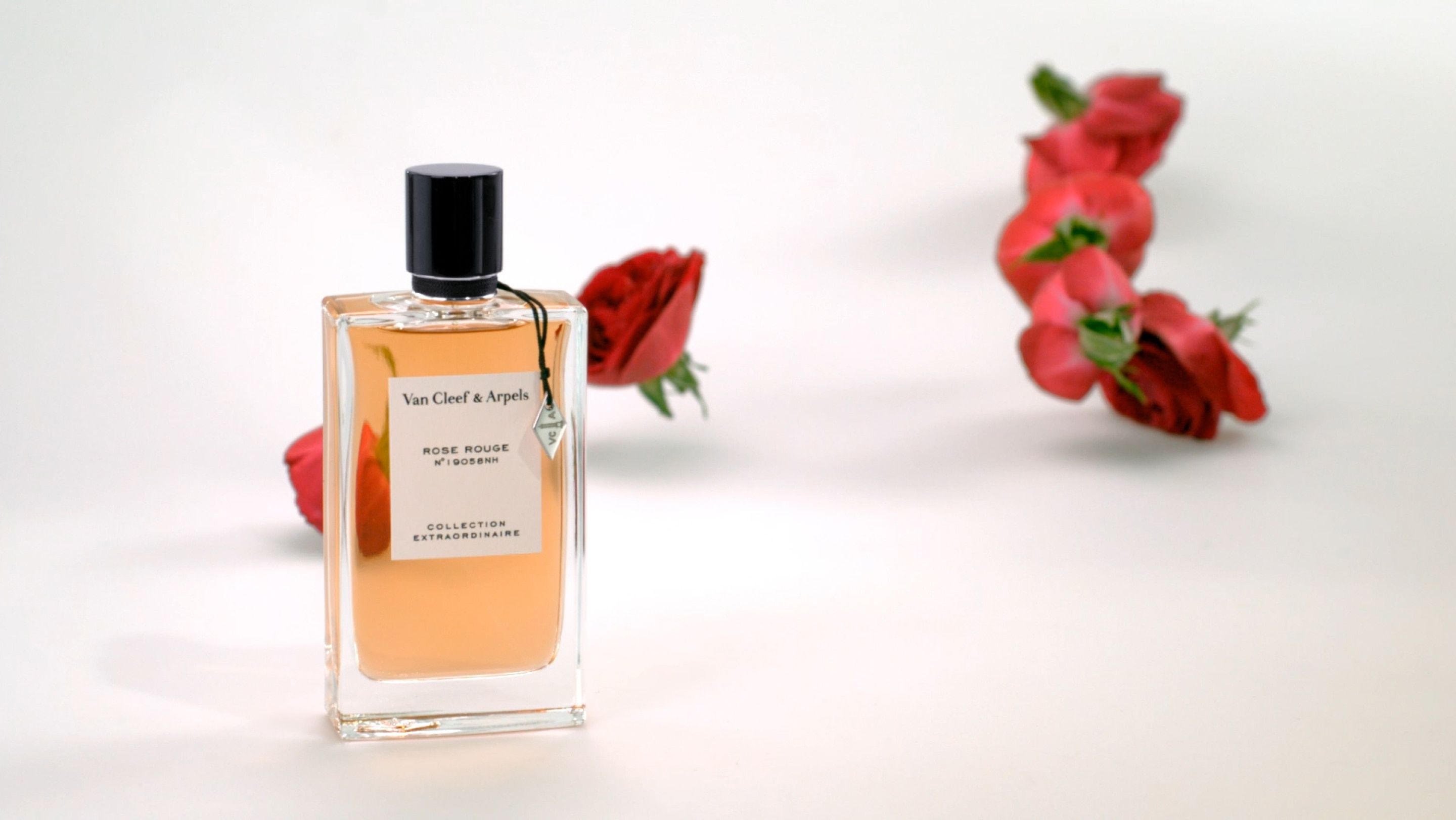 Collection Extraordinaire, Van Cleef & Arpels