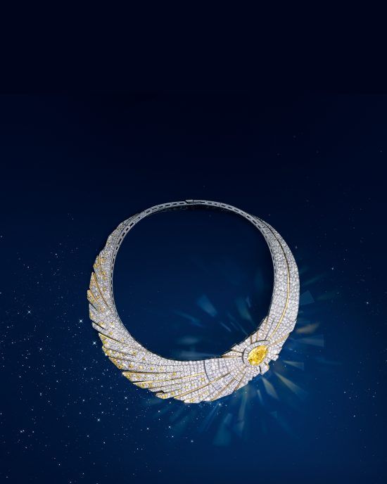 Discover the collection