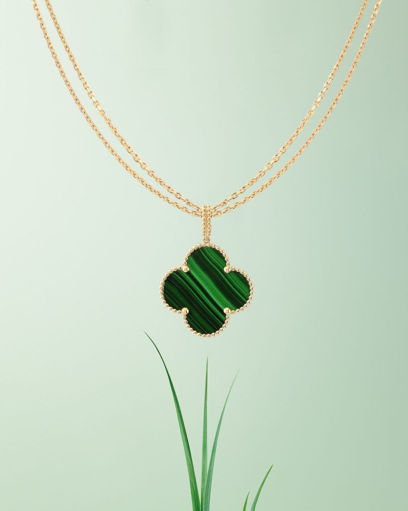 Discover the collection