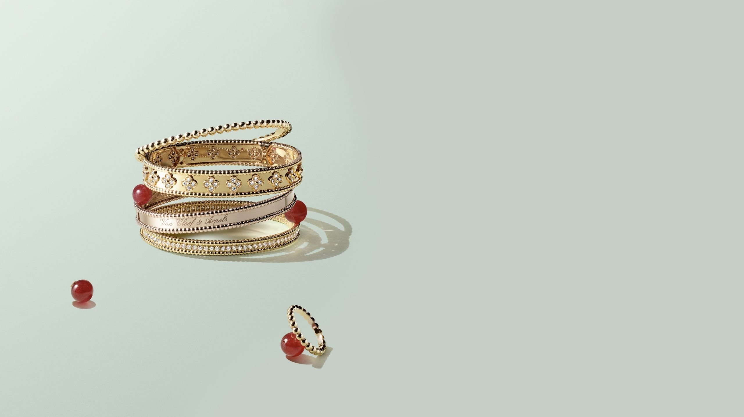 Discover the collection