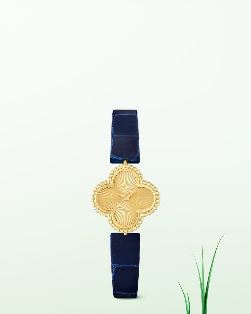 Discover the collection