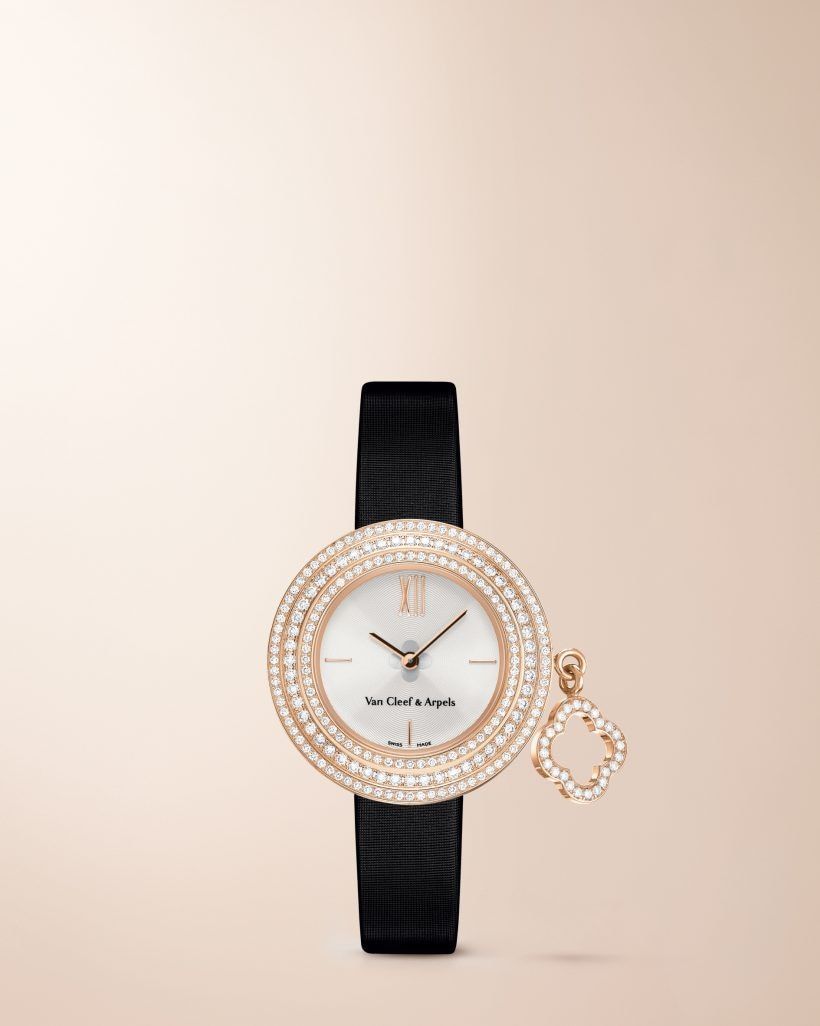 Discover the collection